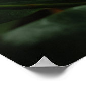 Dark Magnolia Canvas Print Poster (Ecke)