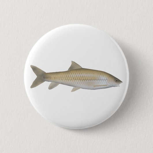 Dark Mahseer Button (Vorderseite)