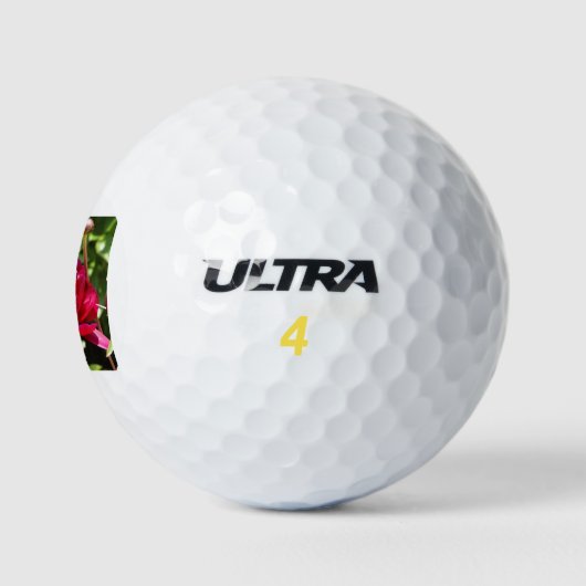 Dark Maroon Velvet-Bauern Golfball (Logo)