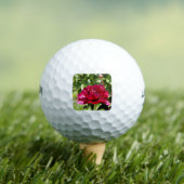 Dark Maroon Velvet-Bauern Golfball (Insitu T-Shirt)