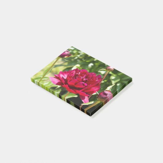 Dark Maroon Velvet-Bauern Post-it Klebezettel (angewinkelt)