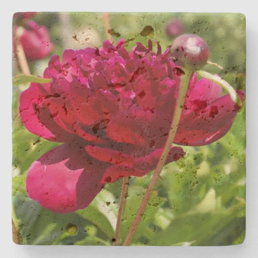 Dark Maroon Velvet-Bauern Steinuntersetzer (Vorderseite)