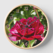 Dark Maroon Velvet-Bauern Uhr (Vorderseite)