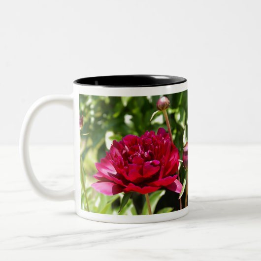 Dark Maroon Velvet-Bauern Zweifarbige Tasse (Links)