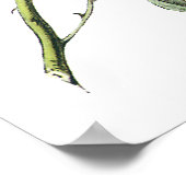 Dark-mit Augen Junco - John James Audubon Poster (Ecke)