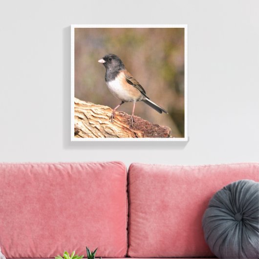 Dark mit Augen Junco Leinwanddruck (Insitu (Wohnzimmer))