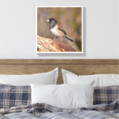 Dark mit Augen Junco Leinwanddruck (Insitu (Schlafzimmer))