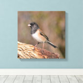 Dark mit Augen Junco Leinwanddruck (Insitu (Holzboden))