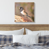 Dark mit Augen Junco Leinwanddruck (Insitu (Schlafzimmer))