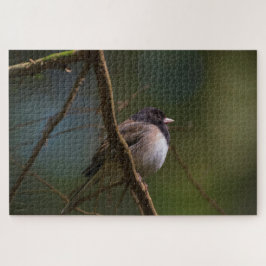 Dark Mit Augen Junco Puzzle