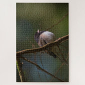 Dark Mit Augen Junco Puzzle (Vertikal)