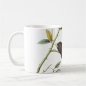 Dark-mit Augen Junco von Audubon Kaffeetasse (Links)