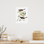 Dark-mit Augen Junco von Audubon Poster (Küche)