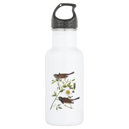 Dark-mit Augen Junco von Audubon Trinkflasche (Vorderseite)