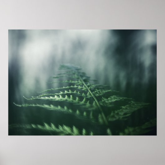 Dark Moody Fern Nature Foto Poster (Vorne)