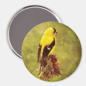 Dark Moody Goldfinch Bird Art Magnet (Vorderseite/Rückseite)