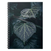Dark Moody Ivy Nature Foto Notizblock (Vorderseite)