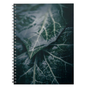 Dark Moody Ivy Verlasse Nature Foto Notizblock