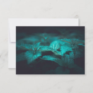 Dark Moody Stinging Nettle Nature Foto Card