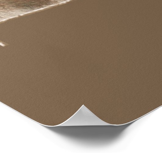 Dark Mystique Poster (Ecke)