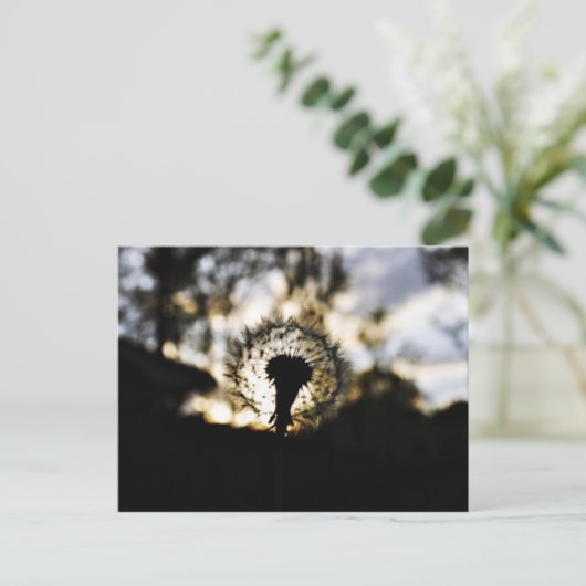 Dark N Dandy Postkarte (Stehend Vorderseite)