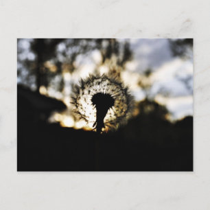 Dark N Dandy Postkarte