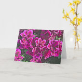 Dark Pink Geraniums Karte (Gelbe Blume)