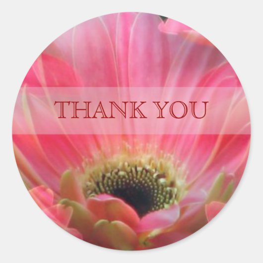 Dark Pink Gerbera daisy Danke Sticker (Vorderseite)