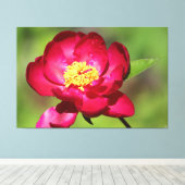 Dark Pink Peony Leinwanddruck (Insitu (Holzboden))