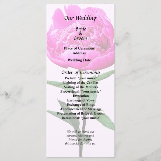Dark Pink Peony Programm (Vorderseite)
