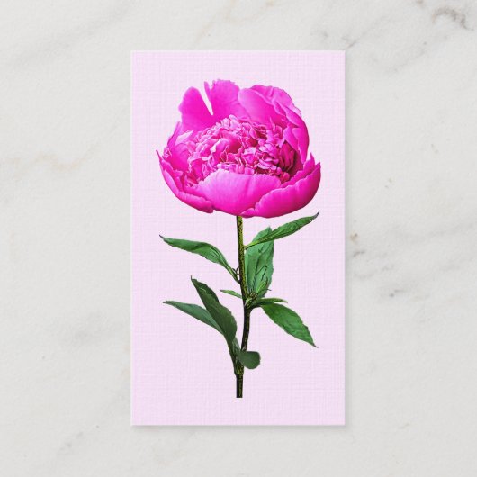 Dark Pink Peony Visitenkarte (Rückseite)