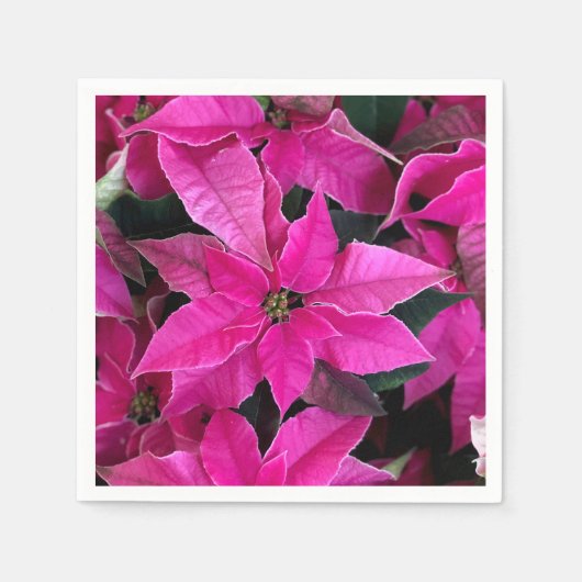 Dark Pink Poinsettia Serviette (Vorderseite)