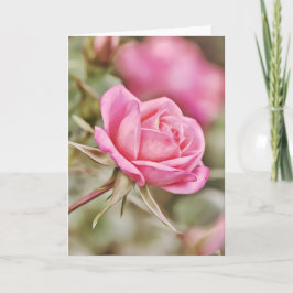 Dark Pink Rose Scripture Card 2 Corinthians 2:14 Karte