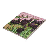 Dark Purple & Pink Tulips Fliese (Seite)