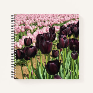 Dark Purple & Pink Tulips Notizblock