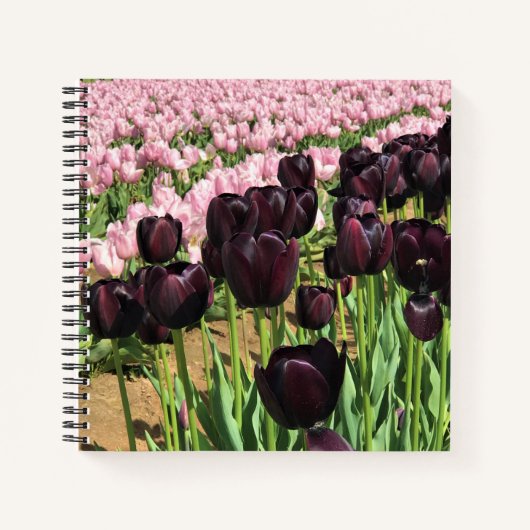 Dark Purple & Pink Tulips Notizblock (Vorderseite)