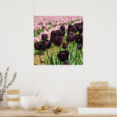 Dark Purple & Pink Tulips Poster (Küche)