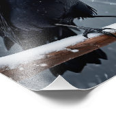Dark Raven Black Bird Fotodruck (Ecke)