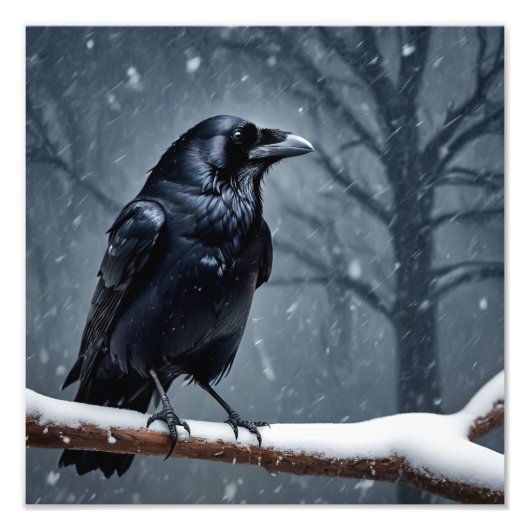 Dark Raven Black Bird Fotodruck (Vorne)