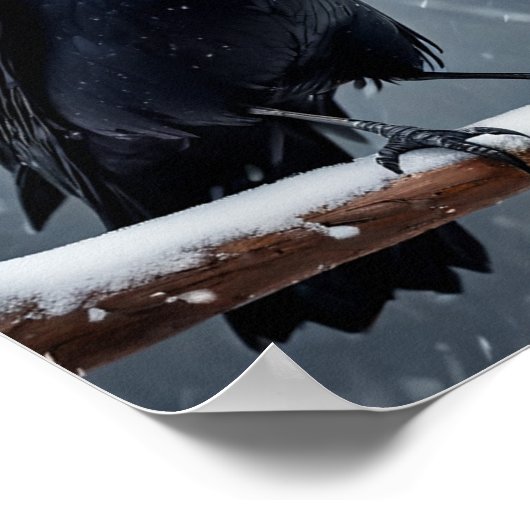 Dark Raven Black Bird Poster (Ecke)