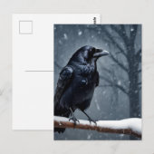 Dark Raven Black Bird Postkarte (Vorne/Hinten)