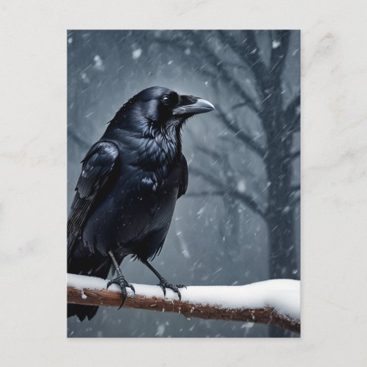 Dark Raven Black Bird Postkarte (Vorderseite)