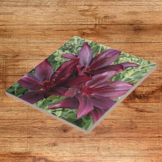 Dark Red Asiatic Lilies Floral Fliese