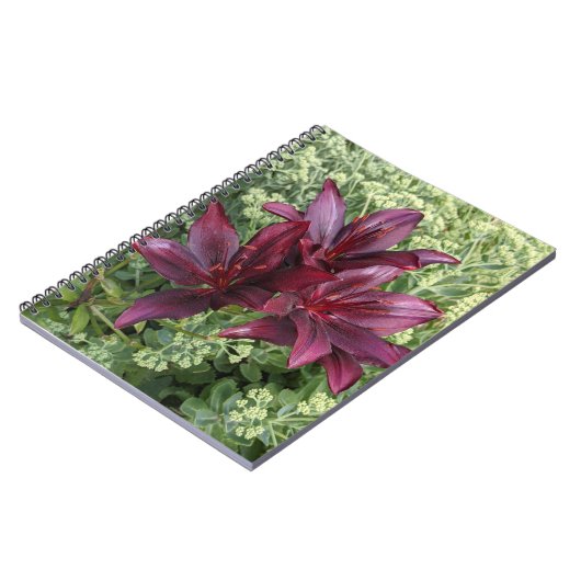 Dark Red Asiatic Lilies Floral Notizblock (Linke Seite)