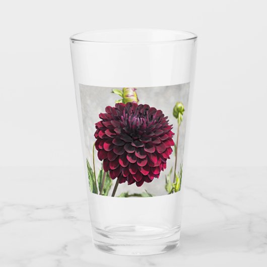 Dark Red Dahlia Bloom Floral Drinks Glas (Vorderseite)