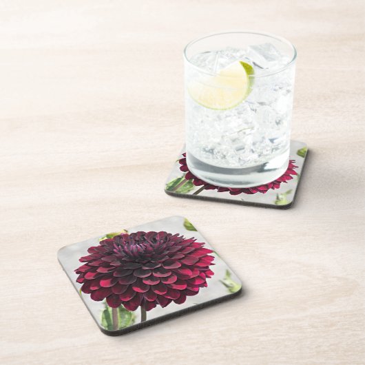 Dark Red Dahlia Bloom Floral Getränkeuntersetzer (Rechte Seite)