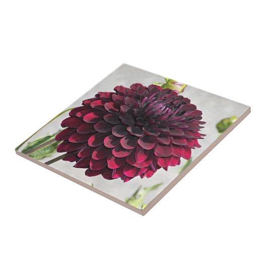 Dark Red Dahlia Bloom Floral Keramik Tile Fliese (Seite)