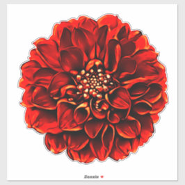 Dark Red Dinner Plate Dahlia Pinnata Blume Aufkleber