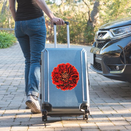 Dark Red Dinner Plate Dahlia Pinnata Blume Aufkleber (Koffer Insitu)