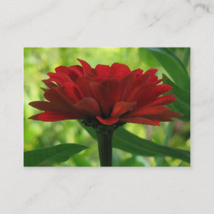 Dark Red Zinnia ATC Visitenkarte